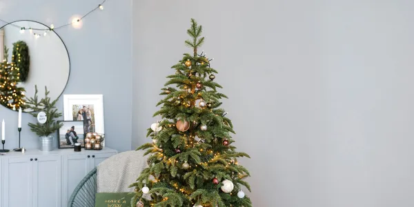 Inspiratii de sarbători